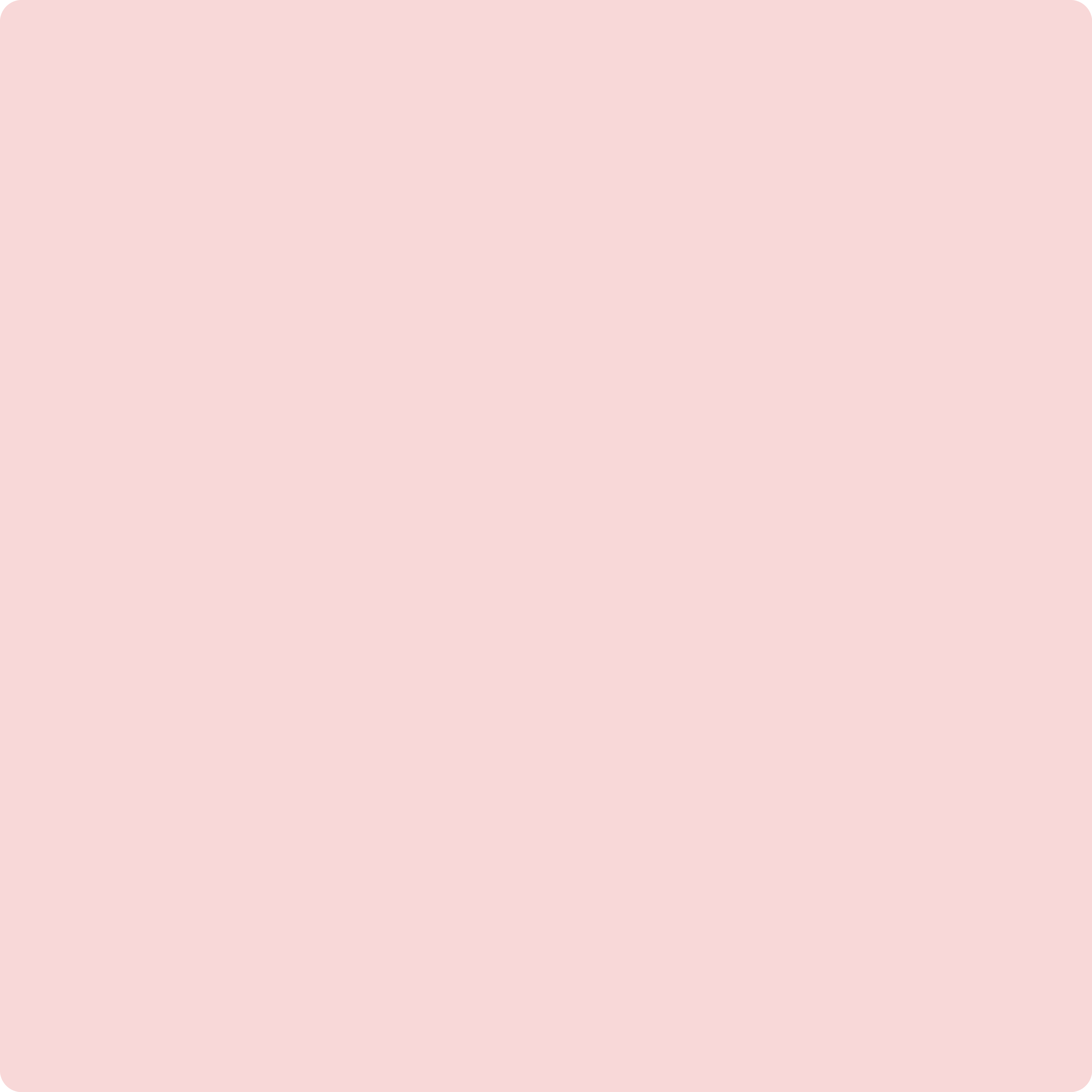 1338 Powder Blush by Benjamin Moore The Color House thecolorhouse