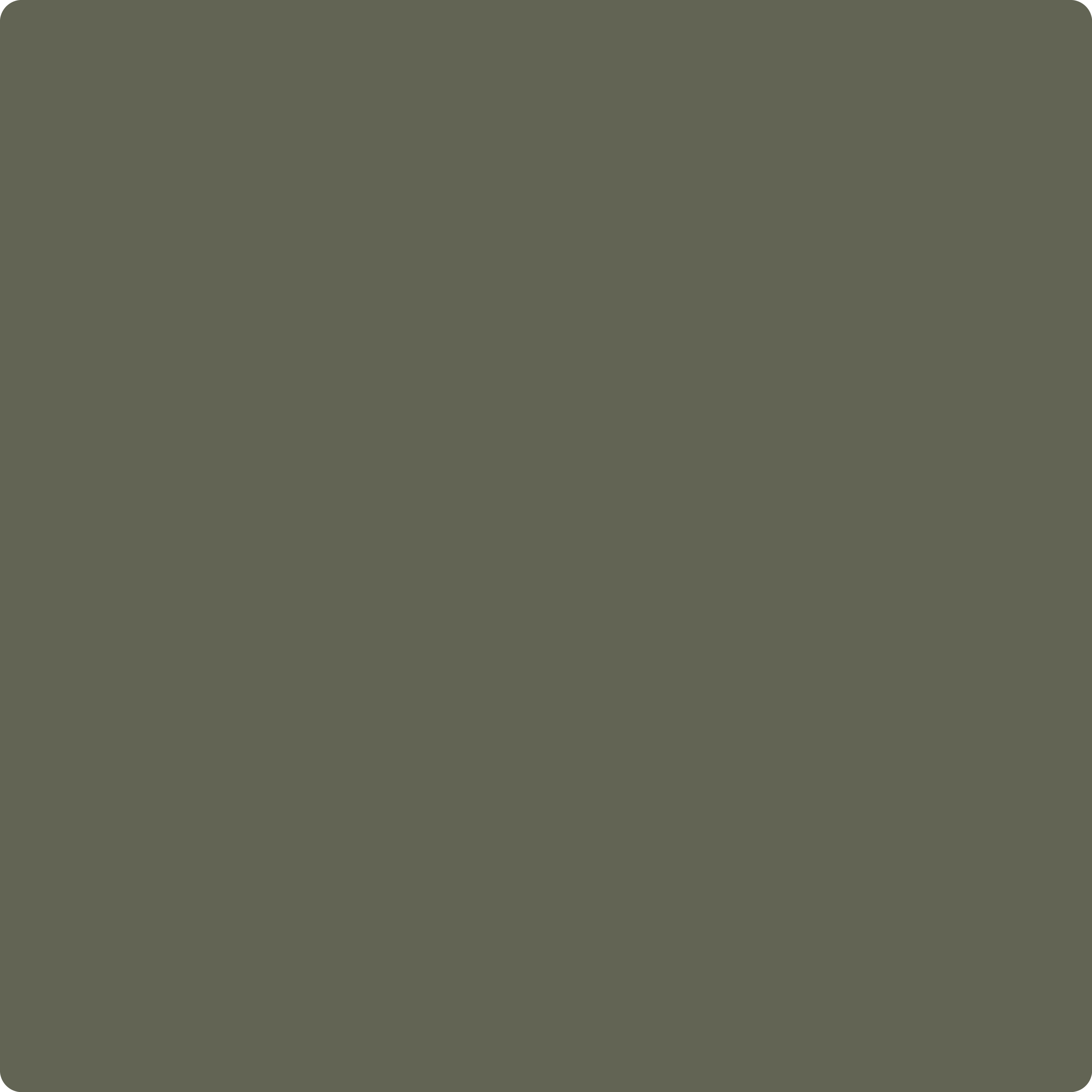 Benjamin Moore's 2140-30 Dark Olive| The Color House