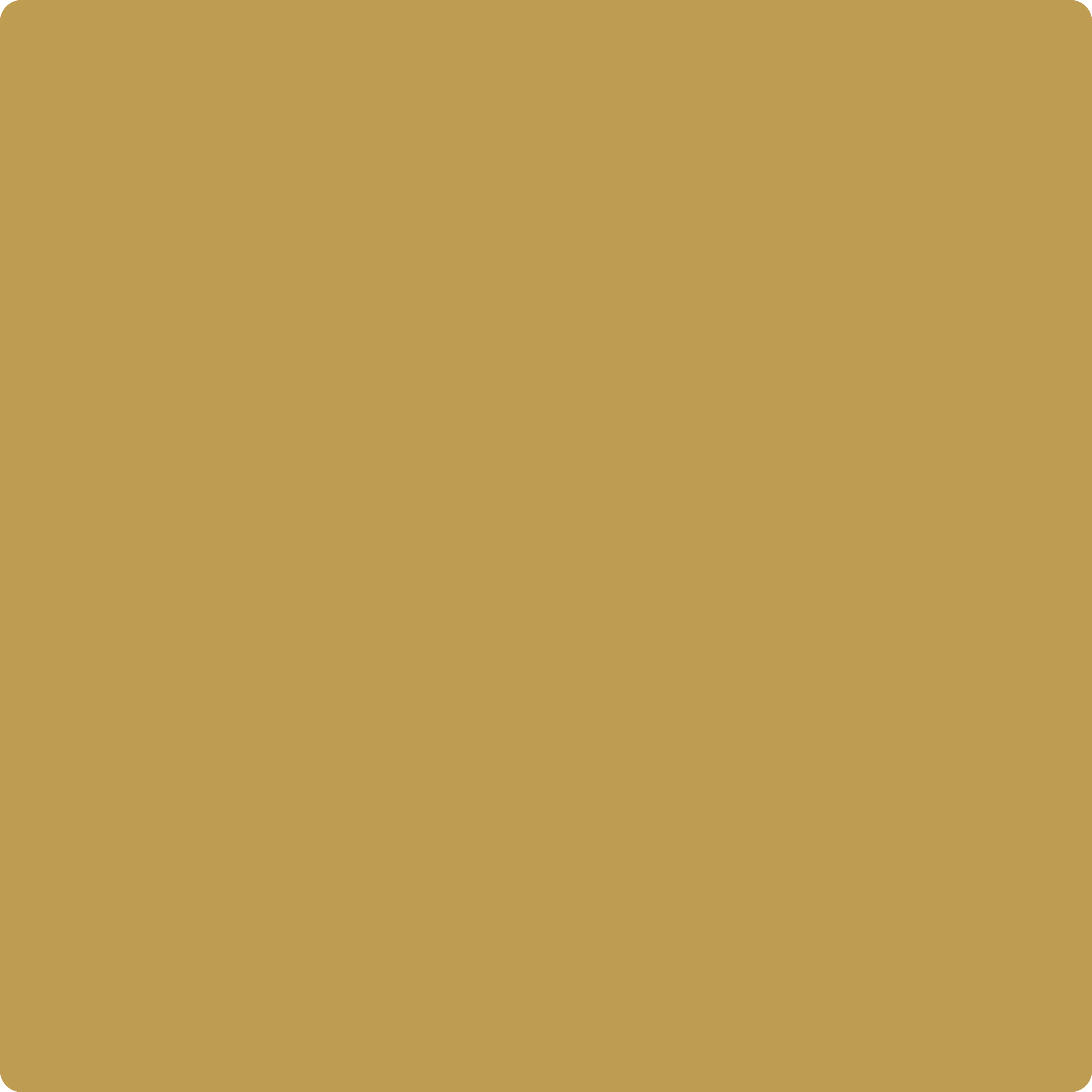 Benjamin Moore's 215130 Ochre The Color House thecolorhouse