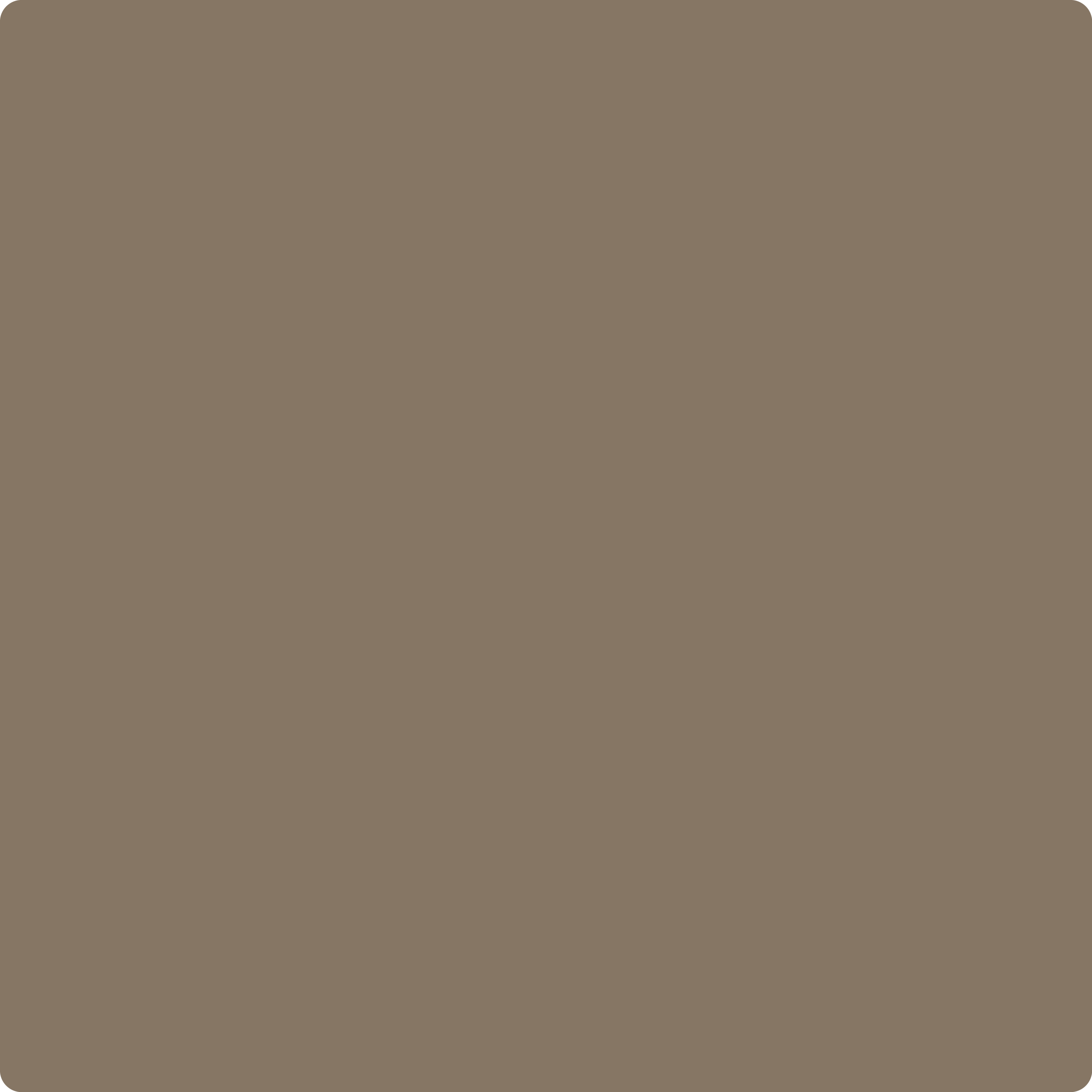 999 Rustic Taupe by Benjamin Moore | The Color House