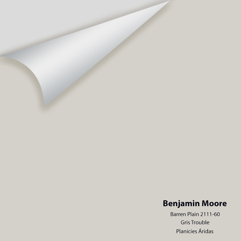 Benjamin Moore - Barren Plain 2111-60 Peel & Stick Color Sample