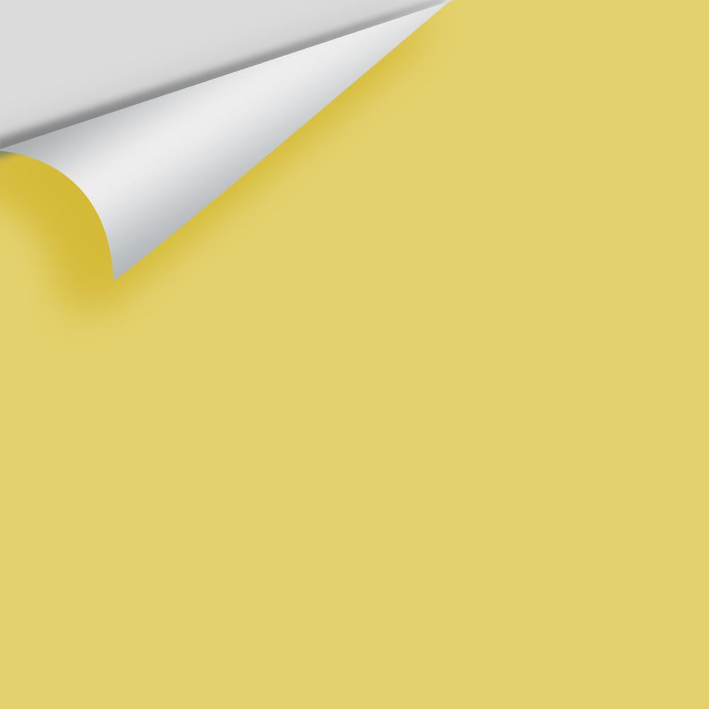 The Color House Benjamin Moore Peel & Stick Paint Samples