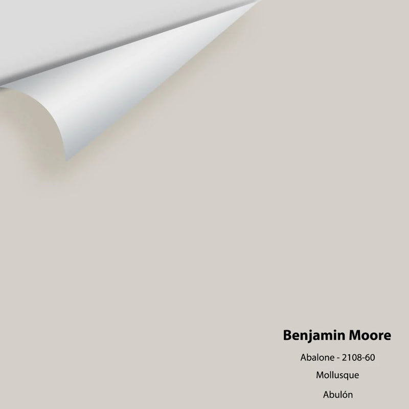 Benjamin Moore - Abalone 2108-60 Peel & Stick Color Sample