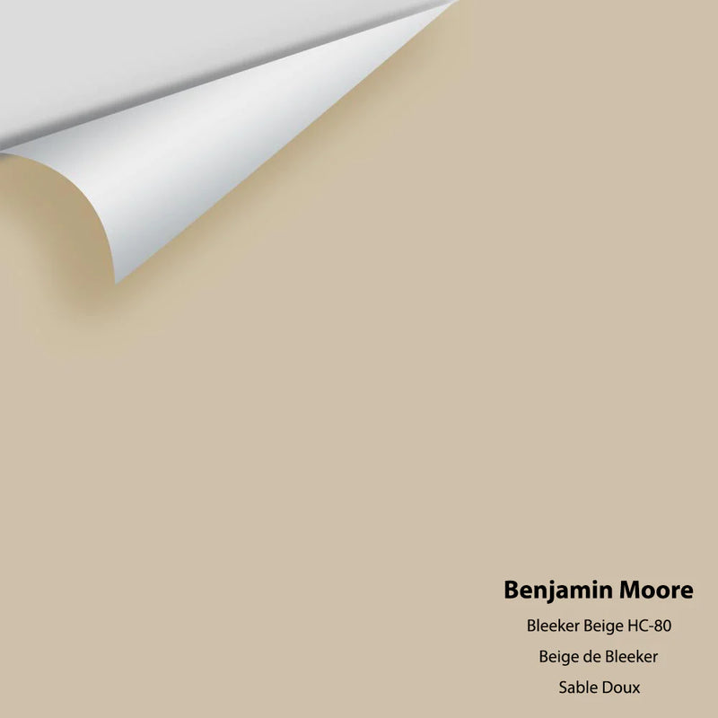 Benjamin Moore - Bleeker Beige HC-80 Peel & Stick Color Sample