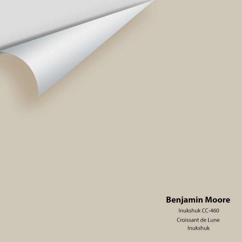 Benjamin Moore - Inukshuk CC-460 Peel & Stick Color Sample