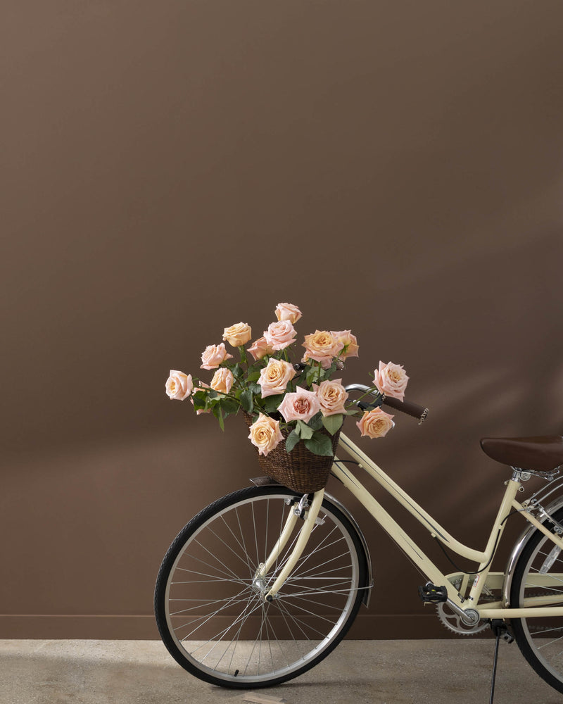 Benjamin Moore's 2107-20 Mocha Brown| The Color House