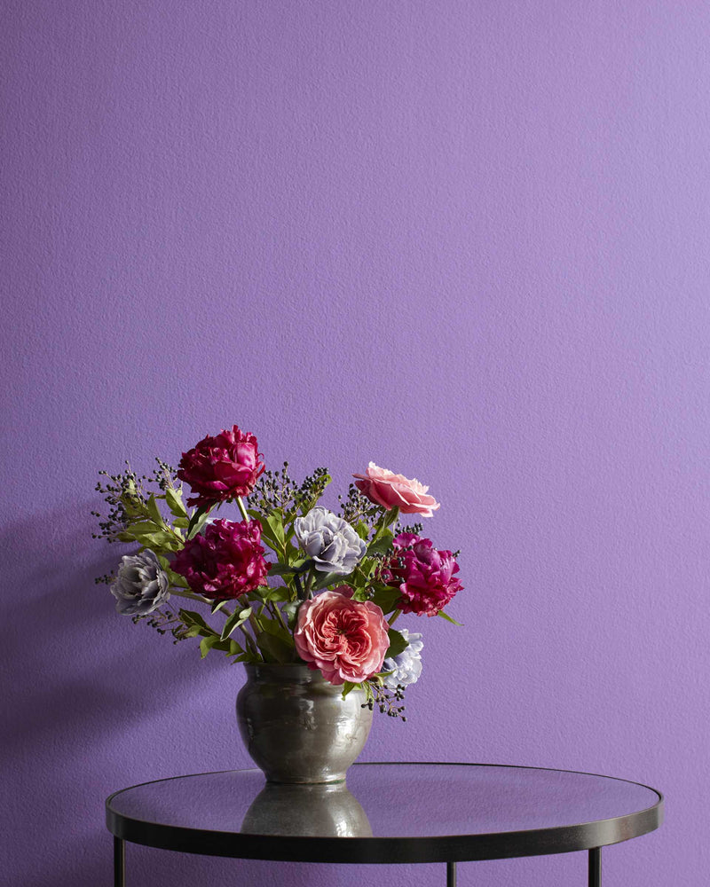 Benjamin Moore's 2071-40 Crocus Petal Purple| The Color House