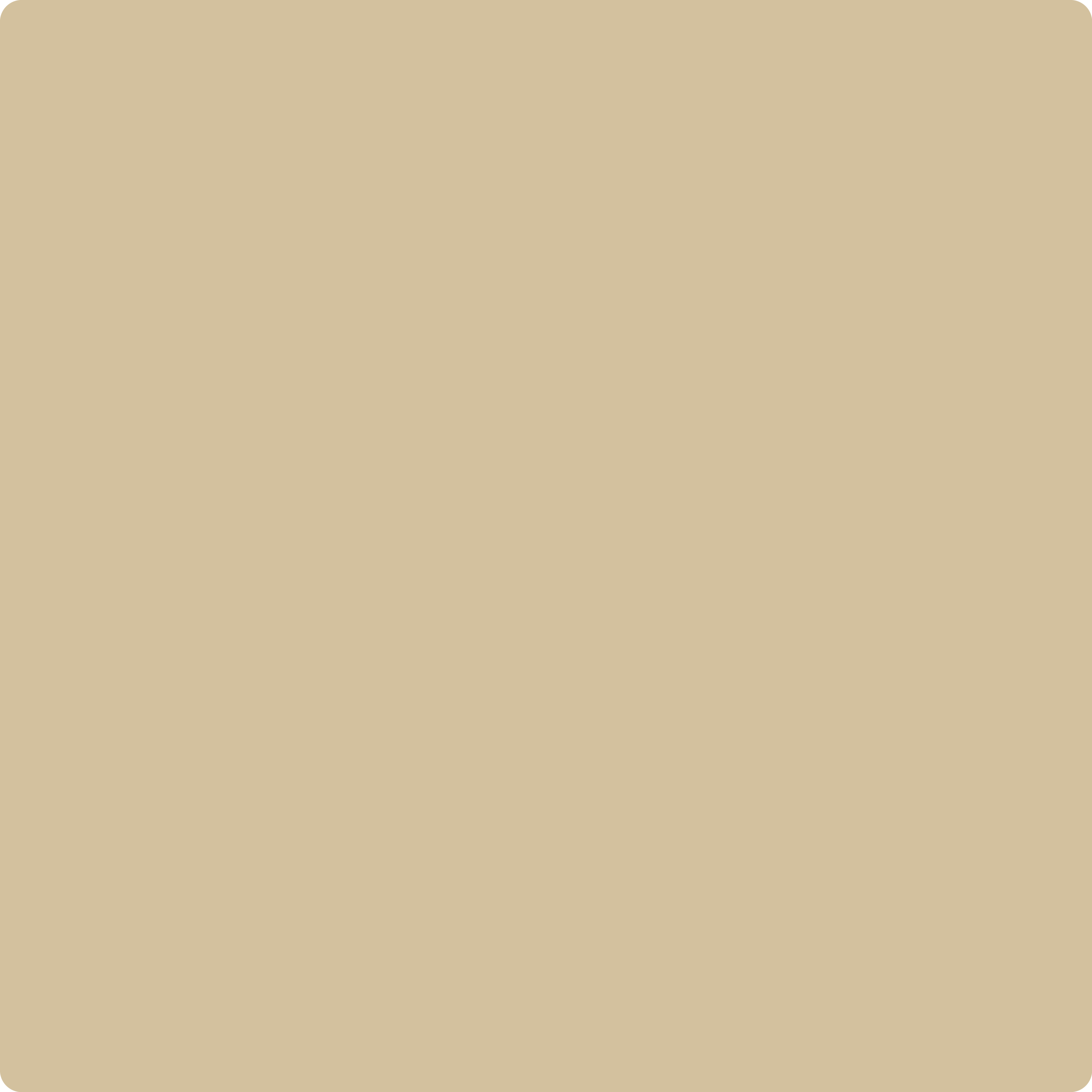 Benjamin Moore's 1046 Sandy Brown| The Color House