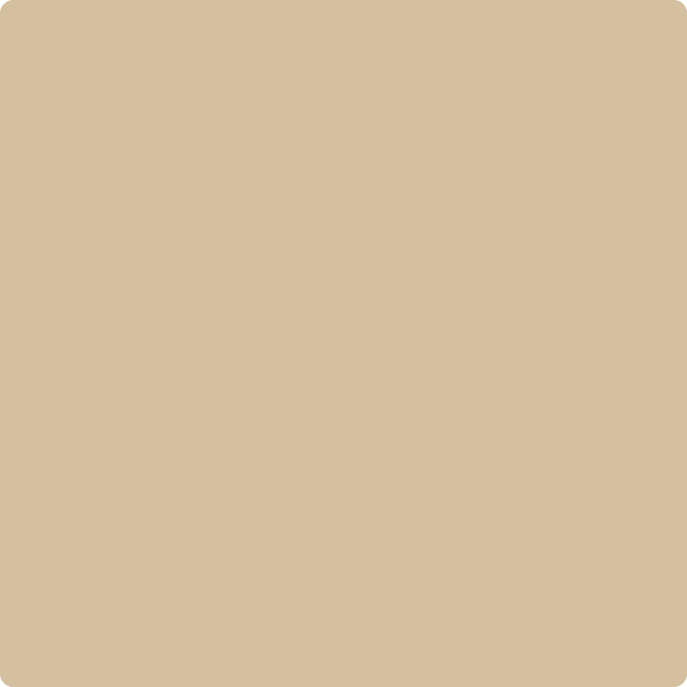 Benjamin Moore's 1060 Blanched Almond| The Color House – thecolorhouse