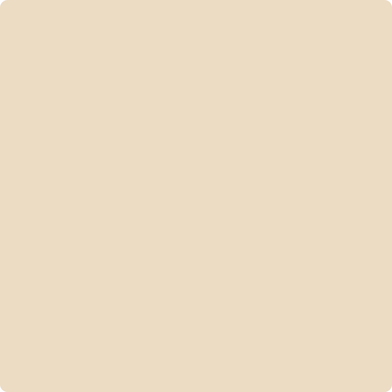 Benjamin Moore Color 1072 Sand Dunes