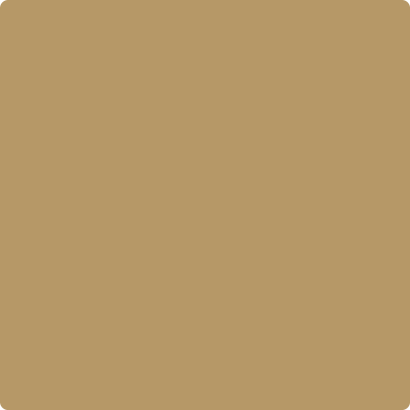 Benjamin Moore Color 1098 Toasted Almond