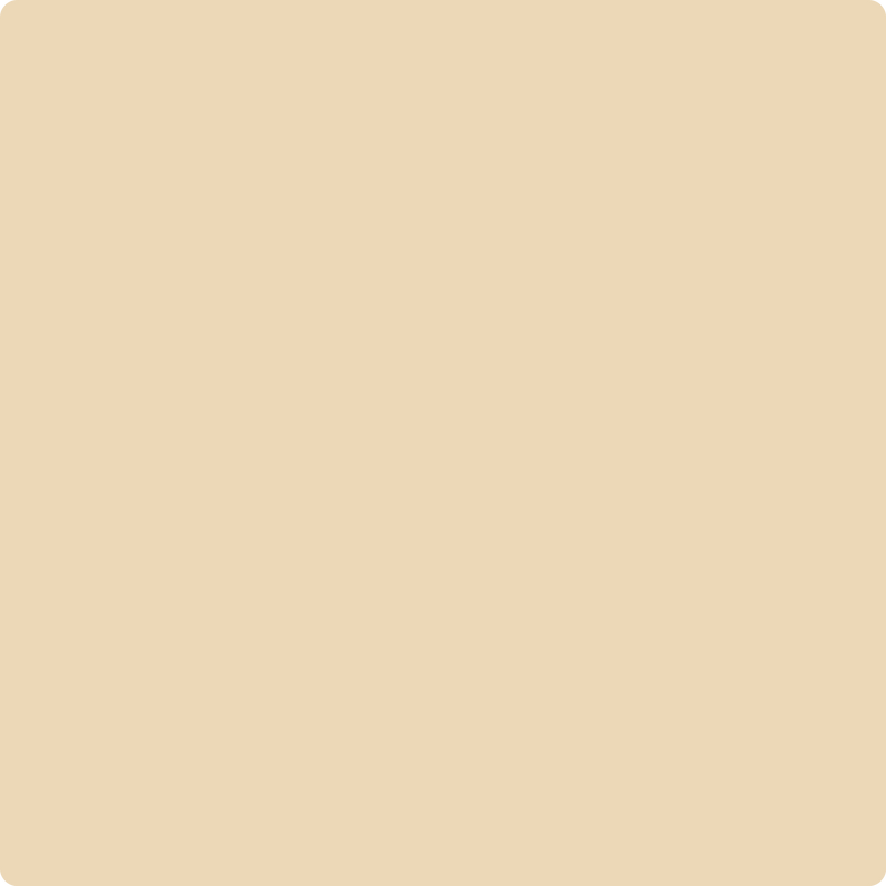 Benjamin Moore Color 1107 Hilton Head Cream