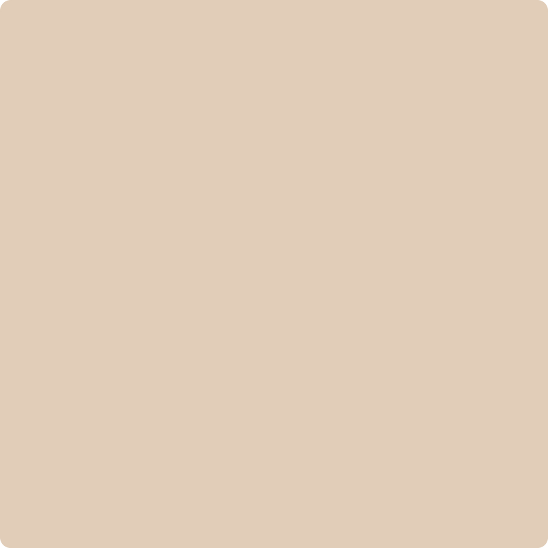 Benjamin Moore Color 1121 Havana Tan