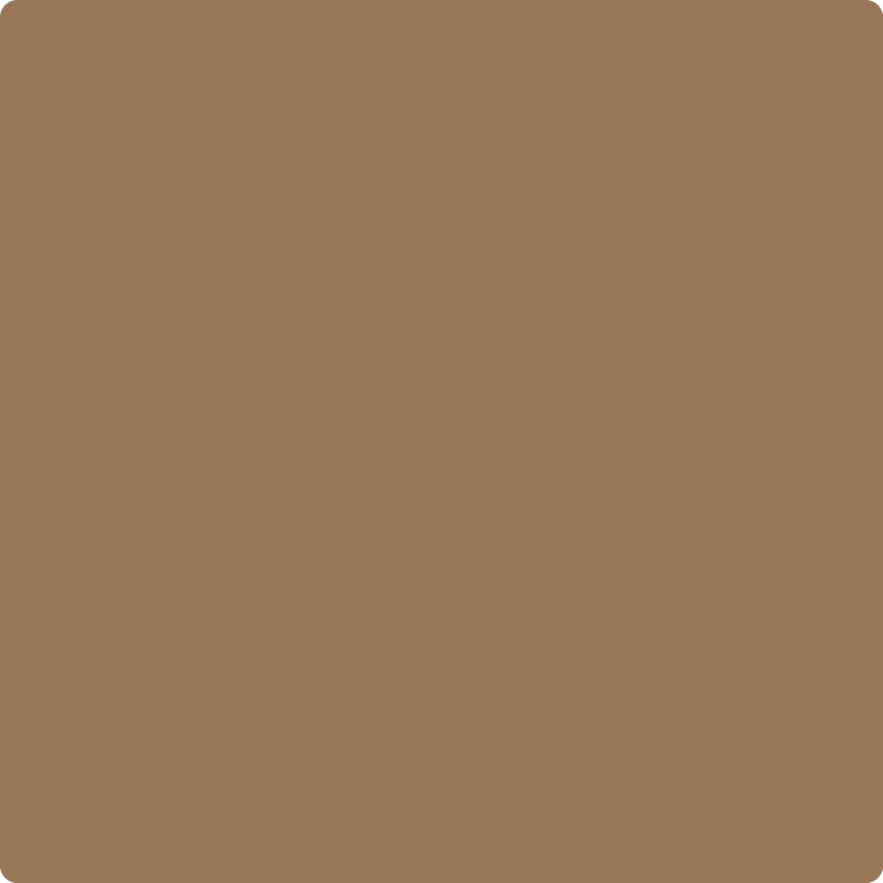 Benjamin Moore Color 1125 Acorn