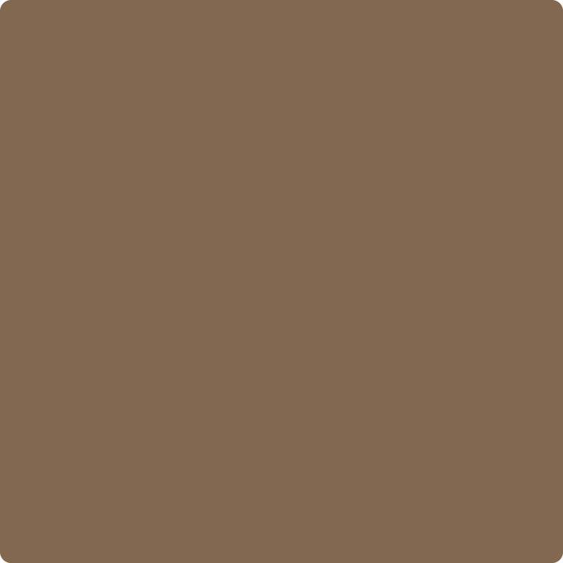 Benjamin Moore Color 1127 Sedona Brown