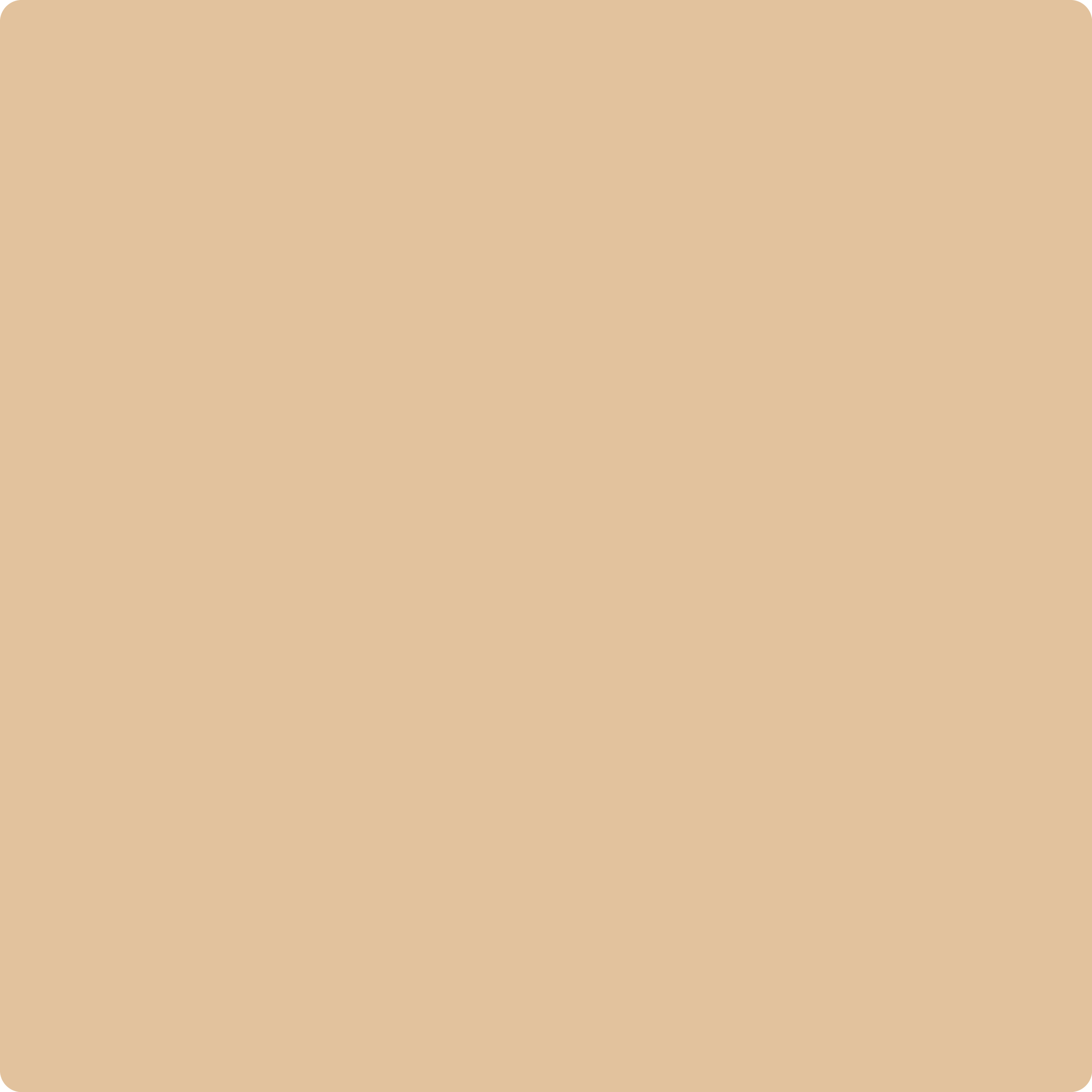 1144 Tucson Tan by Benjamin Moore | The Color House