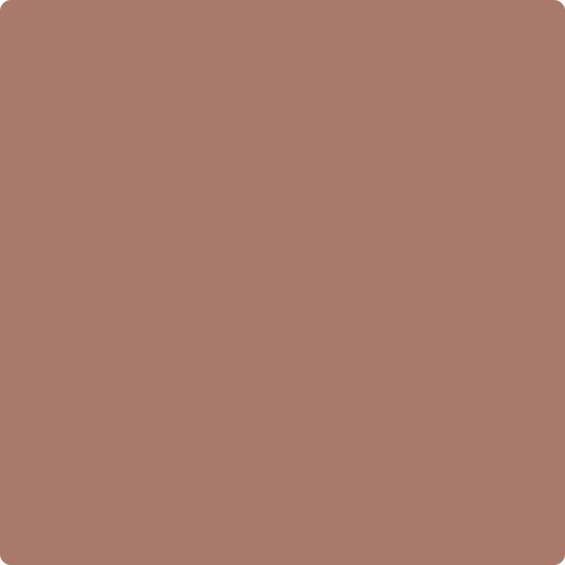 Benjamin Moore Color 1182 Drenched Sienna