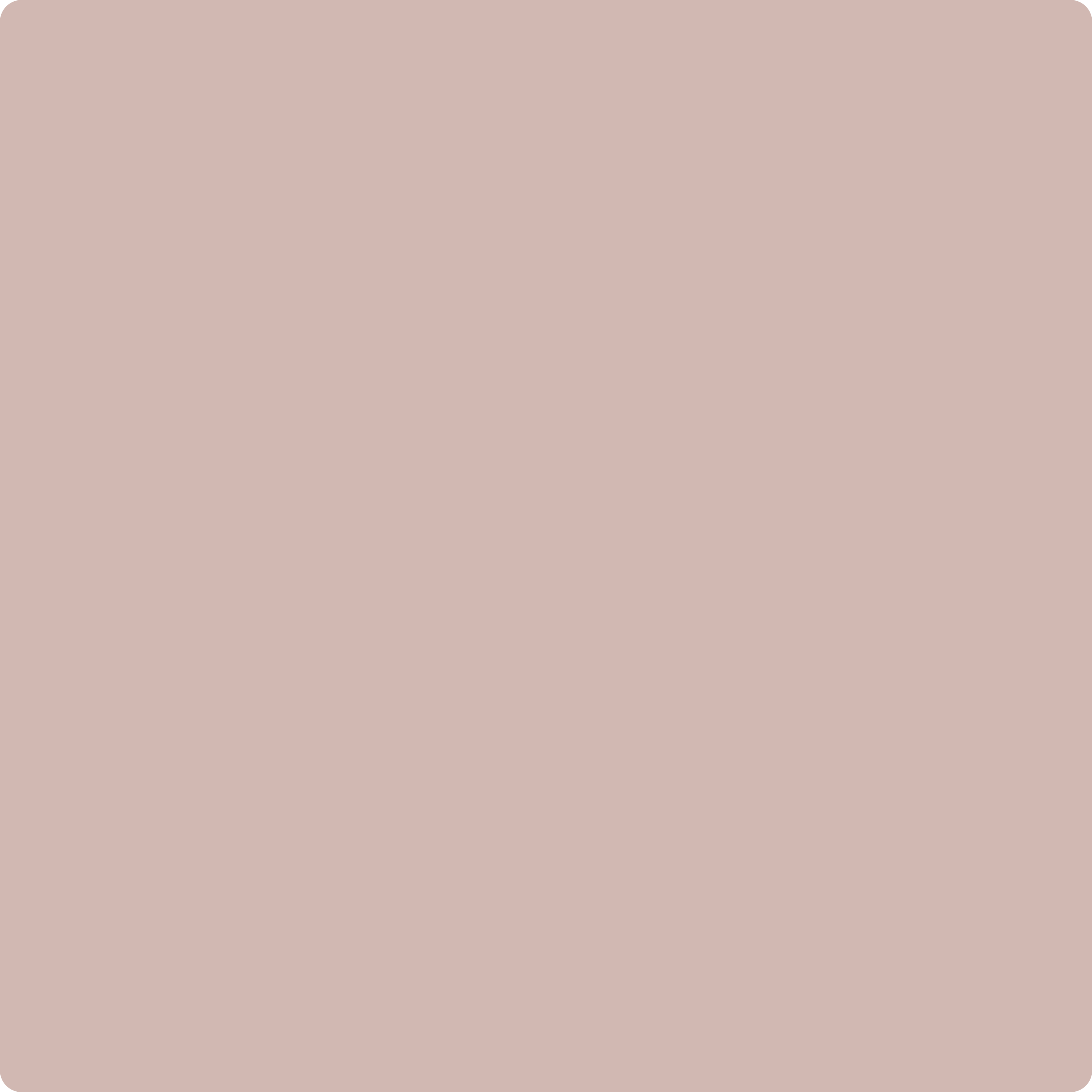 1242 Sonoma Clay by Benjamin Moore | The Color House