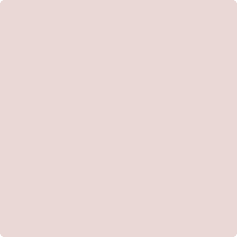 Benjamin Moore Color 1261 Paisley Pink