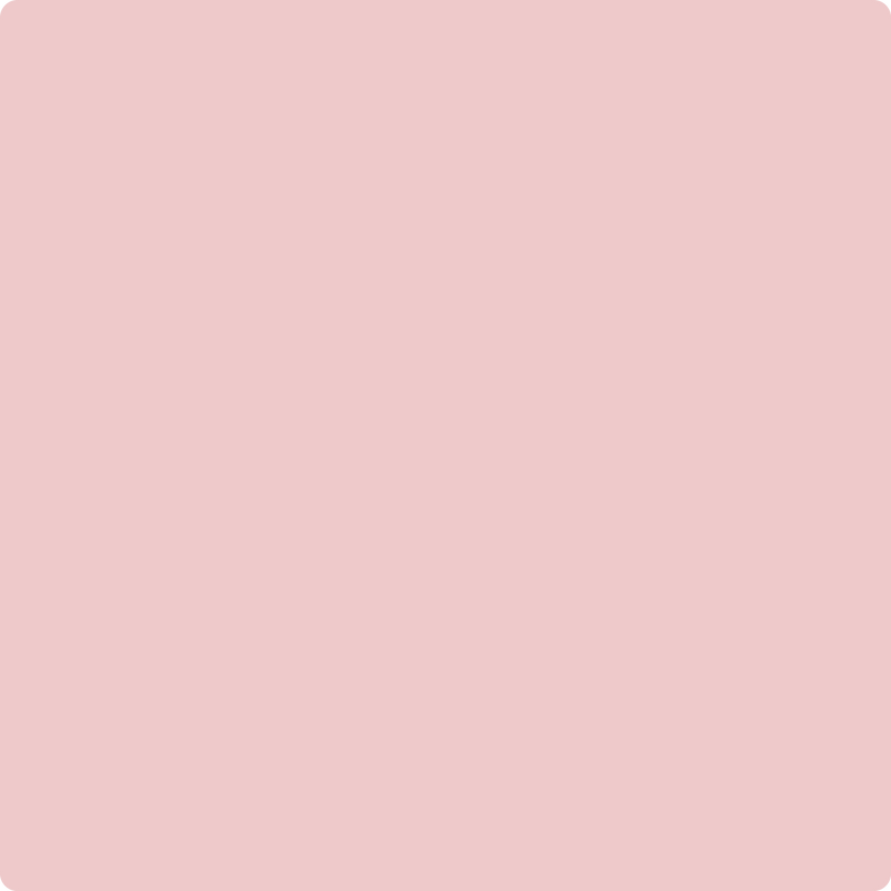 Benjamin Moore Color 1276 Petunia Pink