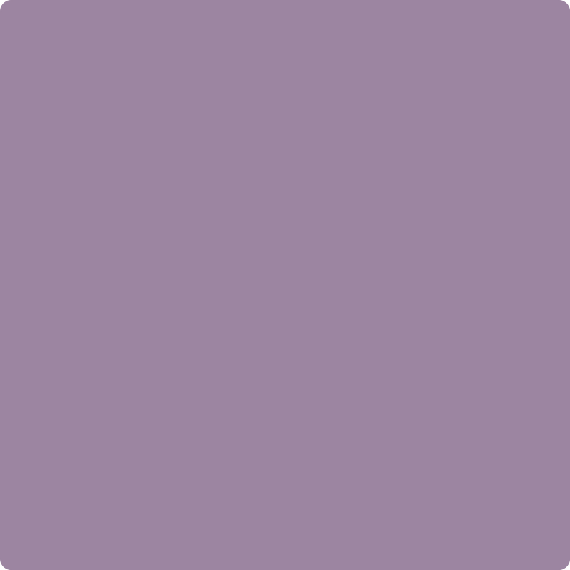 Benjamin Moore Color 1384 Carolina Plum