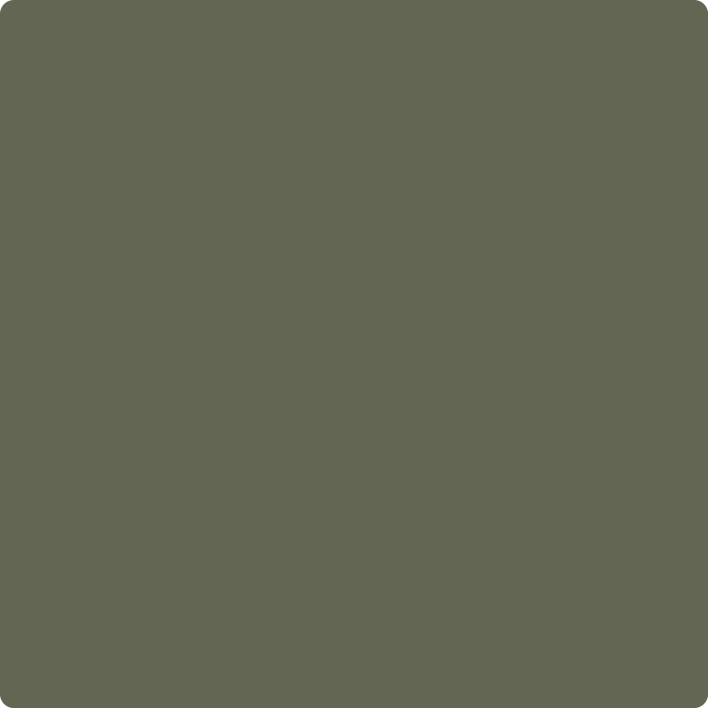 Benjamin Moore Color 1498 Forest Floor