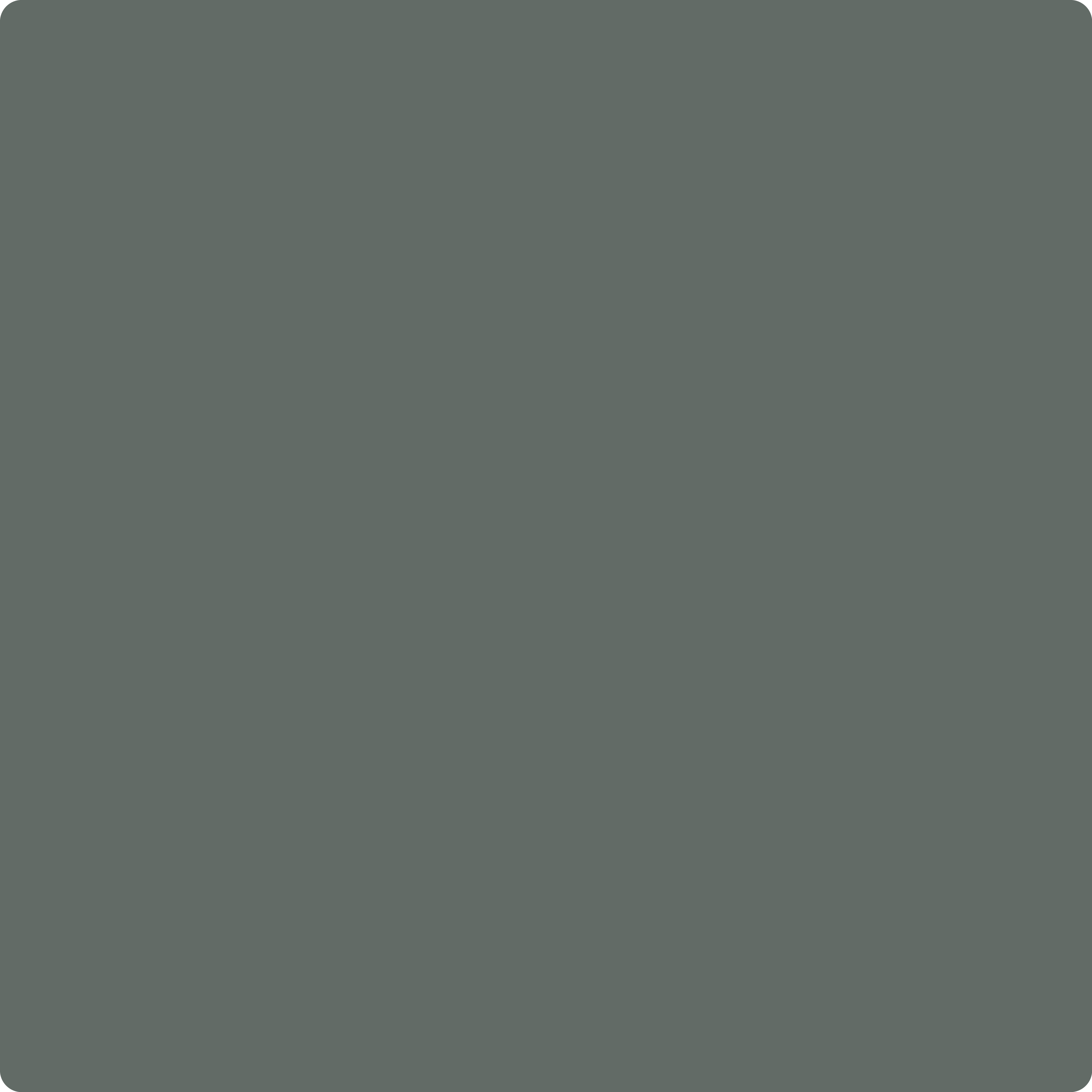 Quarry Color 1568 Quarry Rock by Benjamin Moore | The Color House