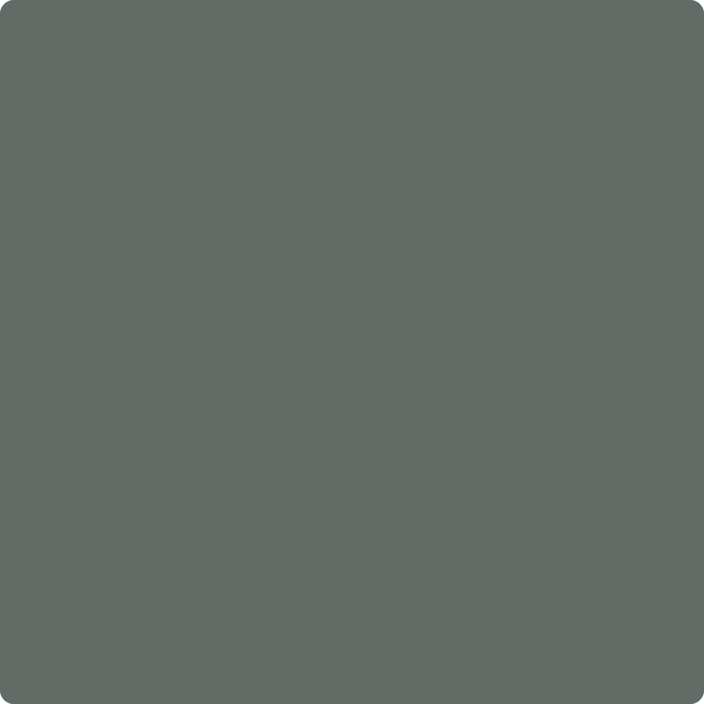 Quarry Color 1568 Quarry Rock by Benjamin Moore | The Color House