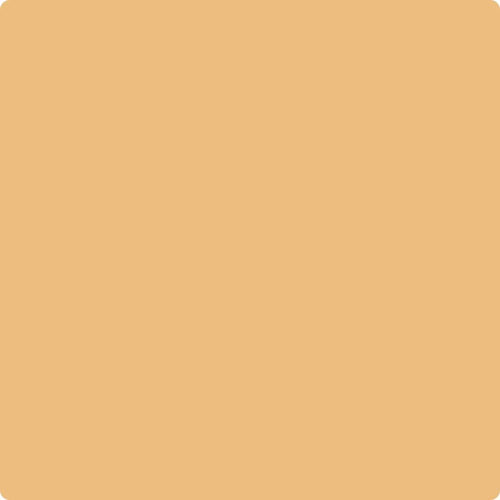 Benjamin Moore Color 166 Orange Ice