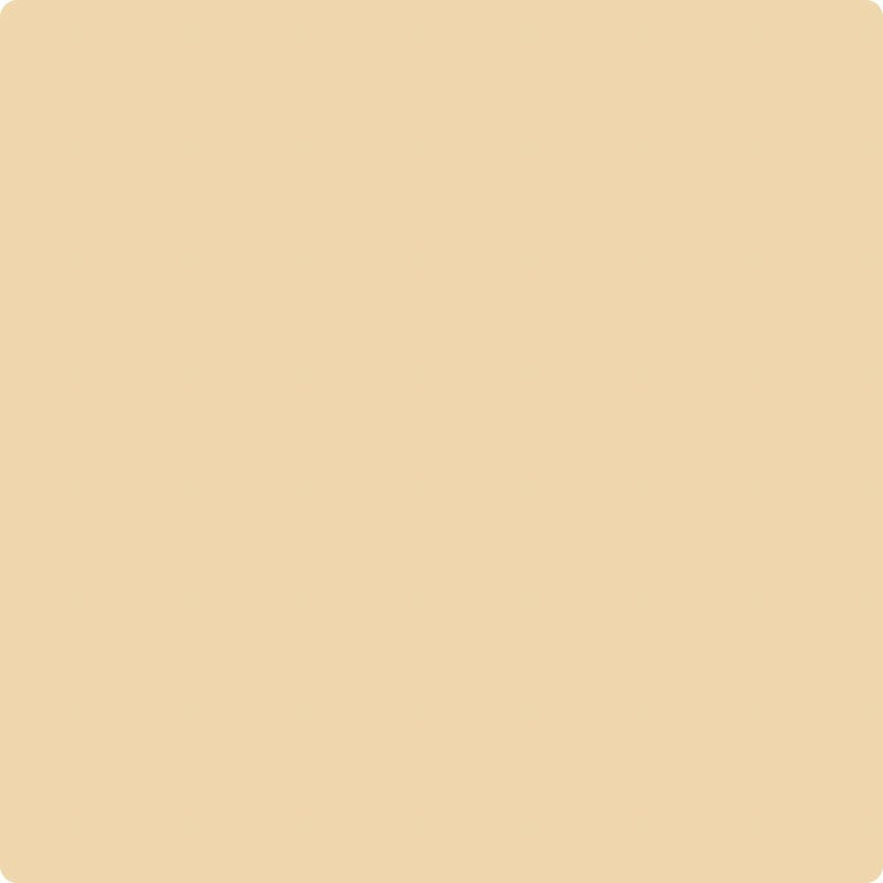192 Key West Ivory by Benjamin Moore | The Color House