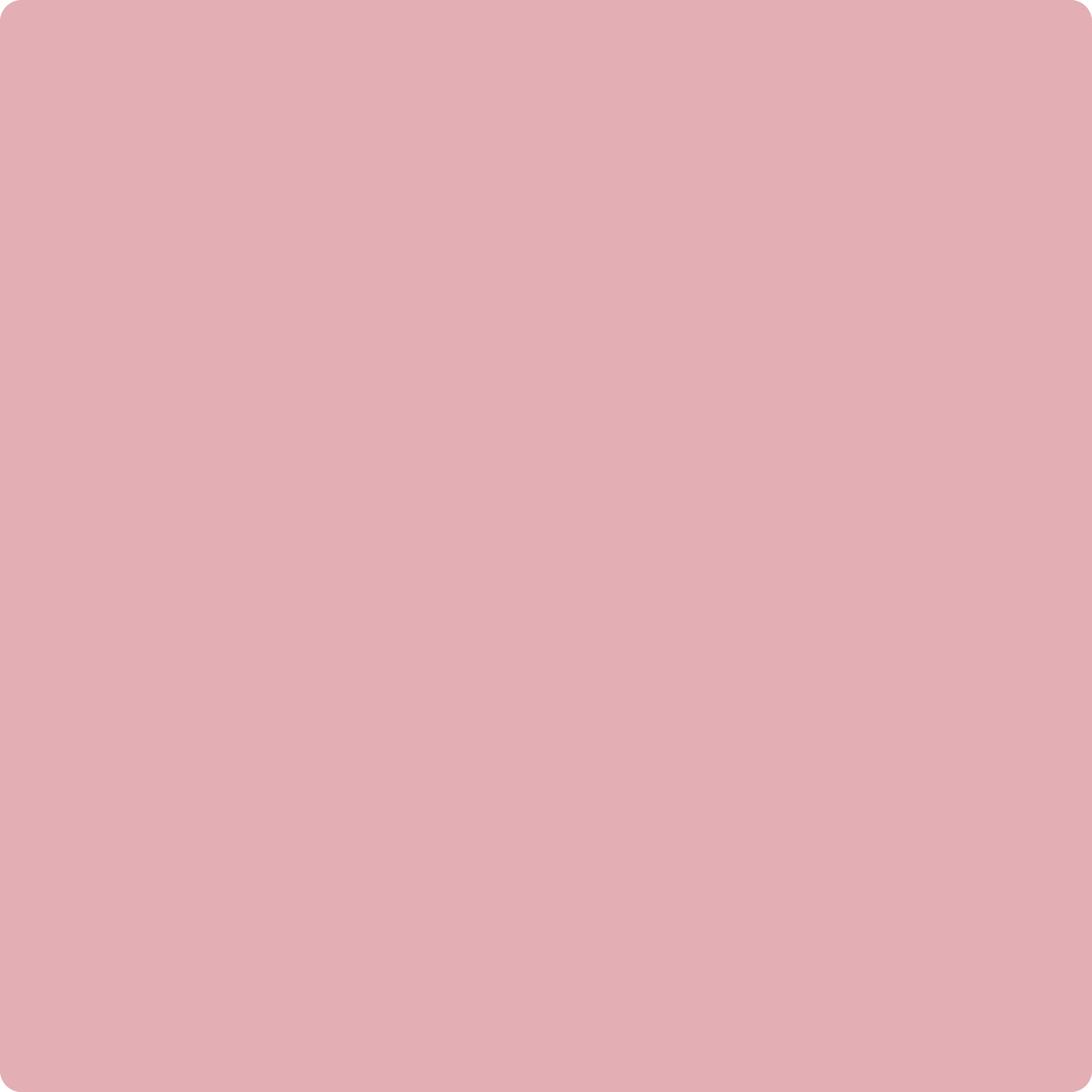 Benjamin Moore's 2005-50 Pink Eraser| The Color House