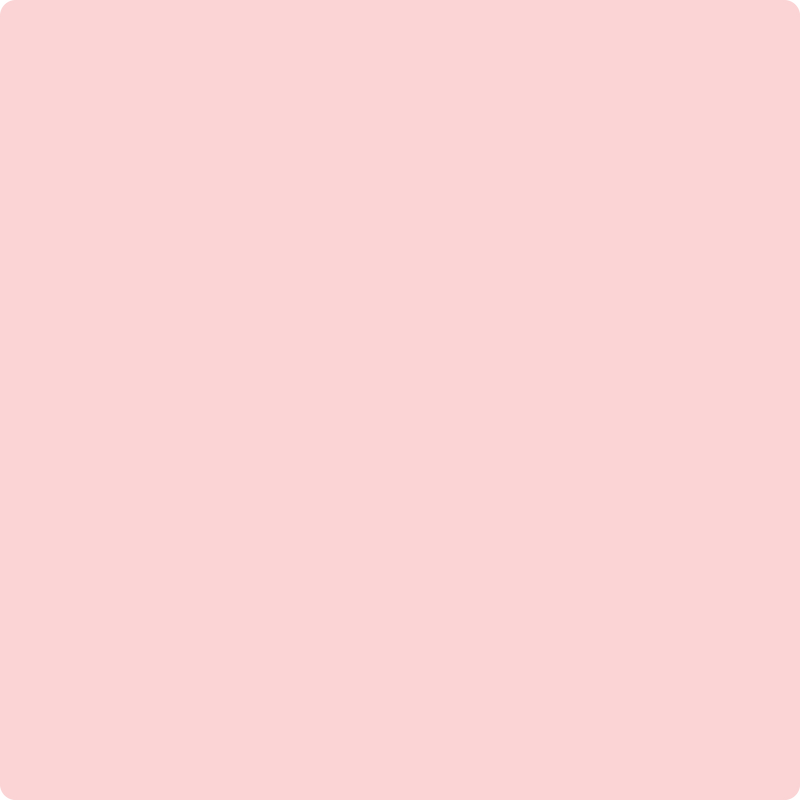 2009-60 Pink Sea Shell