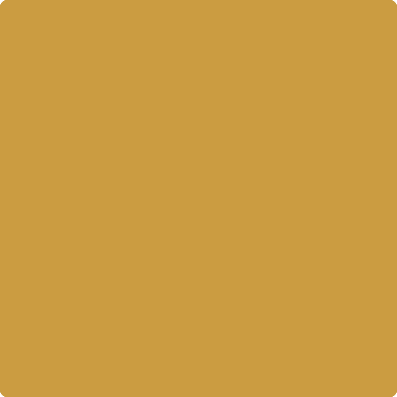 Benjamin Moore Color 203 Fields of Gold