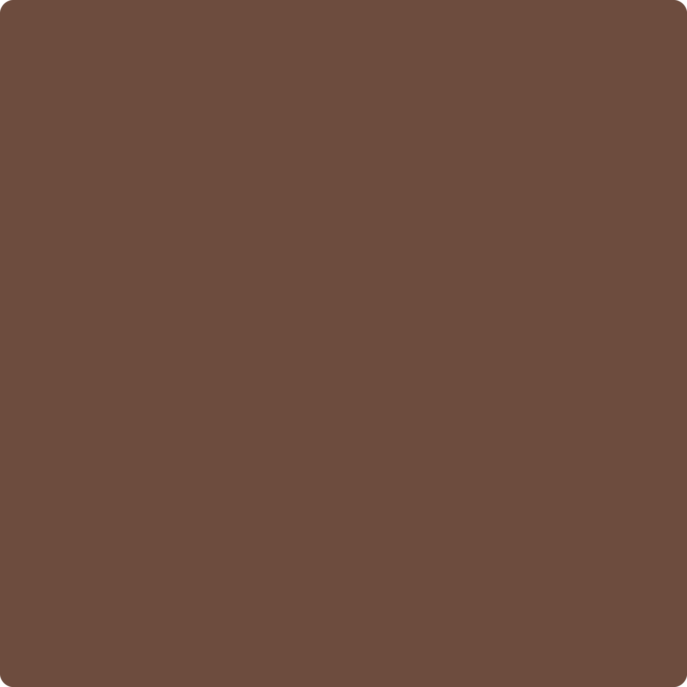 Benjamin Moore's 2097-10 Toasted Brown| The Color House