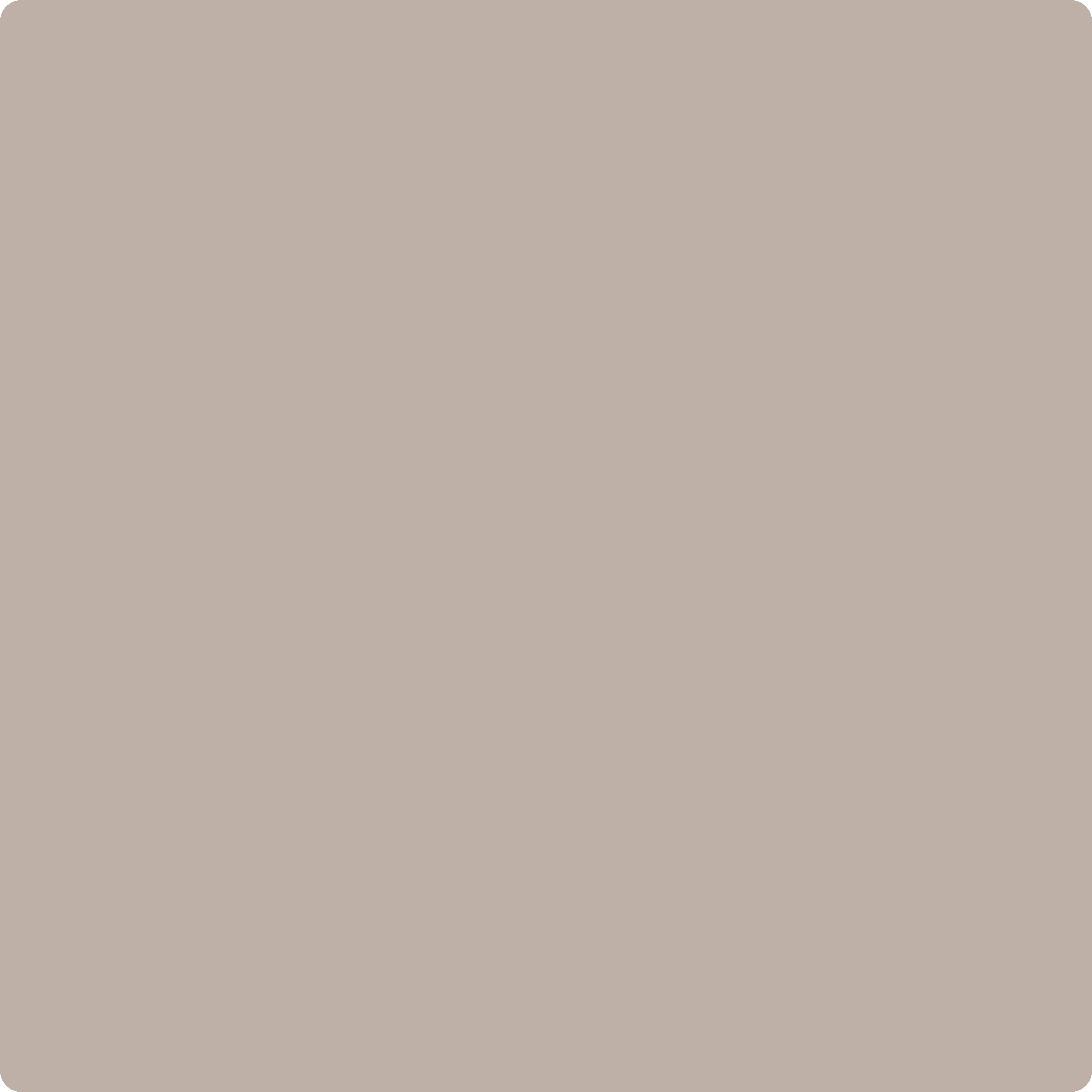 Benjamin Moore's 2107-50 Sandlot Gray| The Color House