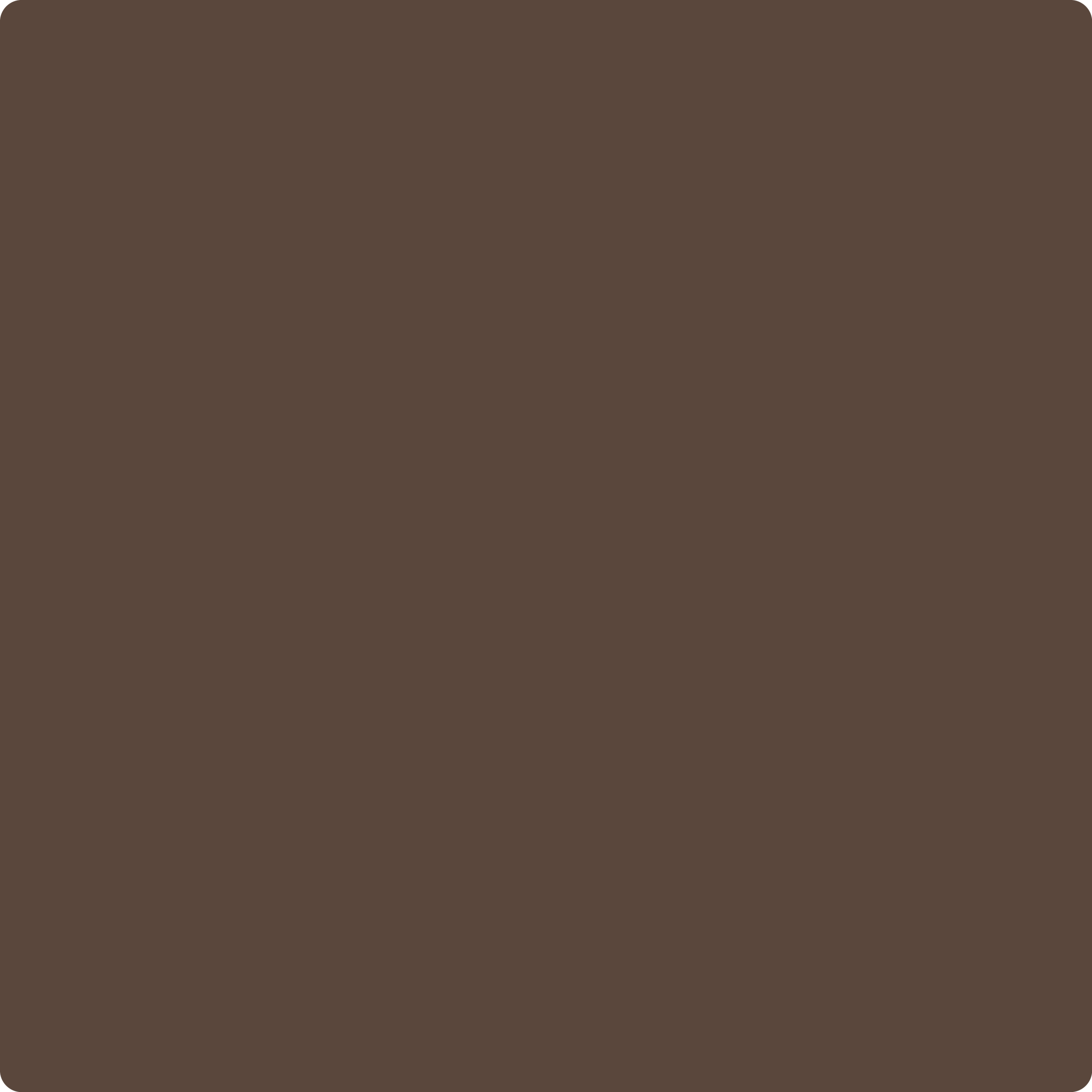 Benjamin Moore's 210910 Classic Brown The Color House