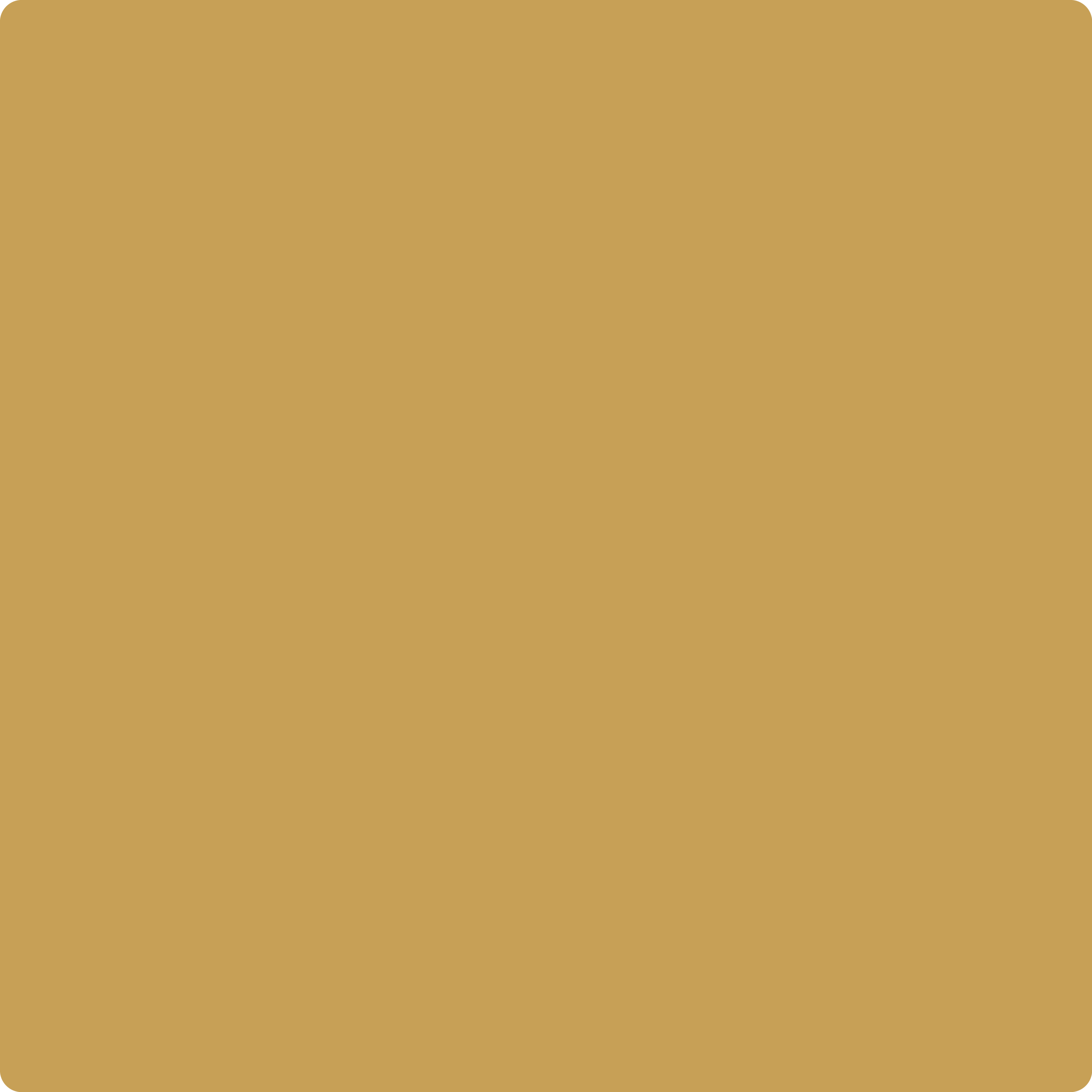 Benjamin Moore's 2152-30 Autumn Gold| The Color House