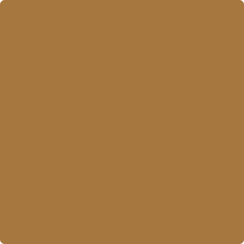 Benjamin Moore Color 2165-10 Camel