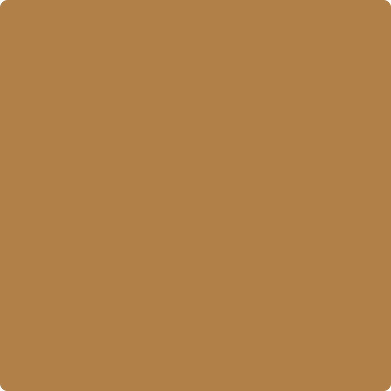 Benjamin Moore Color 2165-20 Golden Meadow