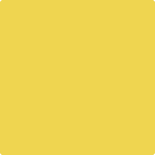 Benjamin Moore Color 356 Sunny Afternoon