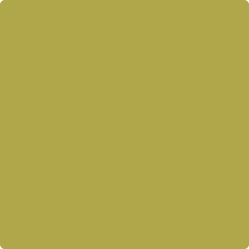 Benjamin Moore Color 392 Olive Tree