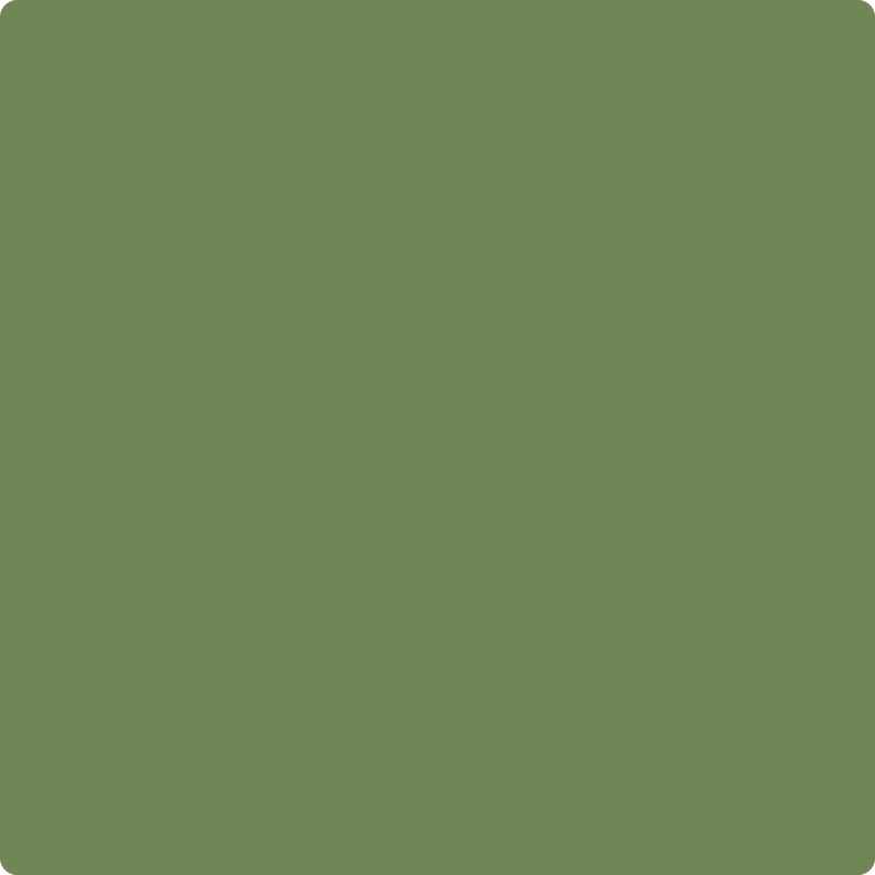 Benjamin Moore Color 546 Courtyard Green