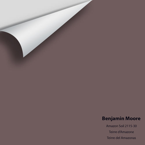 Benjamin Moore - Amazon Soil 2115-30 Peel & Stick Color Sample