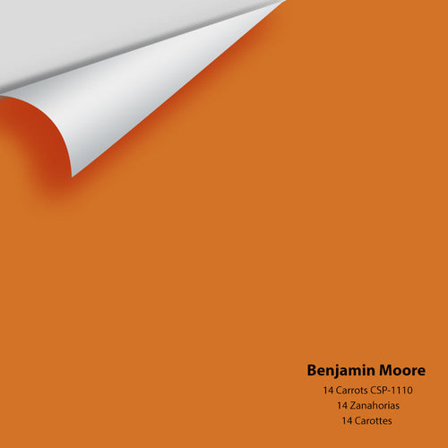 Benjamin Moore - 14 Carrots CSP-1110 Peel & Stick Color Sample