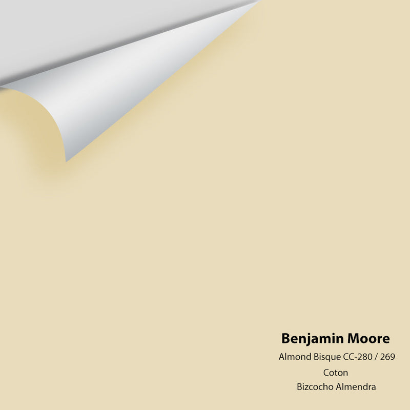 Benjamin Moore - Almond Bisque 269/CC-280 Peel & Stick Color Sample