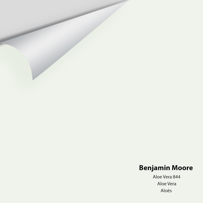 Benjamin Moore - Aloe Vera 844 Peel & Stick Color Sample