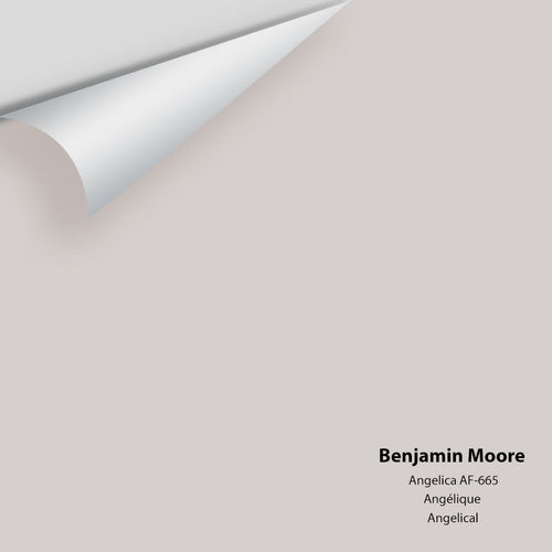 Benjamin Moore - Angelica AF-665 Peel & Stick Color Sample