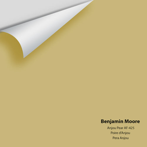 Benjamin Moore - Anjou Pear AF-425 Peel & Stick Color Sample