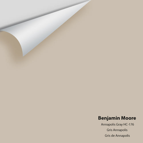 Benjamin Moore - Annapolis Gray HC-176 Peel & Stick Color Sample