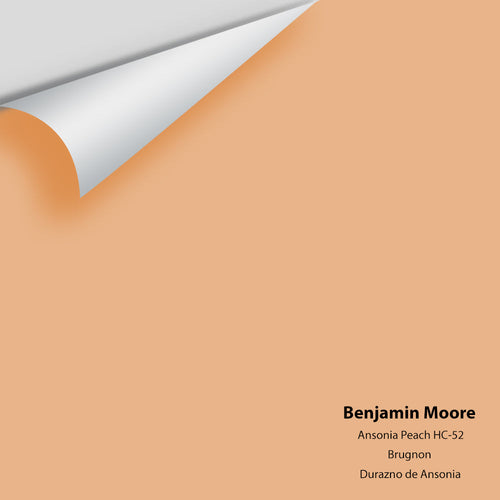 Benjamin Moore - Ansonia Peach HC-52 Peel & Stick Color Sample